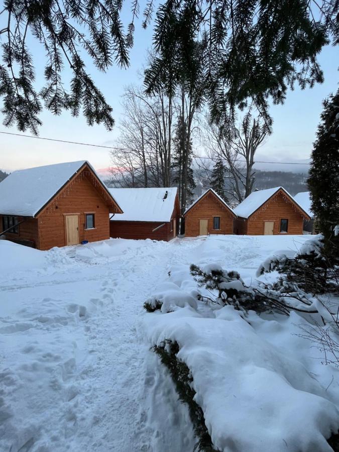 Poncyljuszowka Leilighet Szczyrk Eksteriør bilde